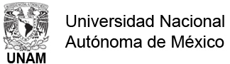 Instituto de Ingeniería - UNAM